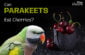 Can Parakeets Eat Cherries